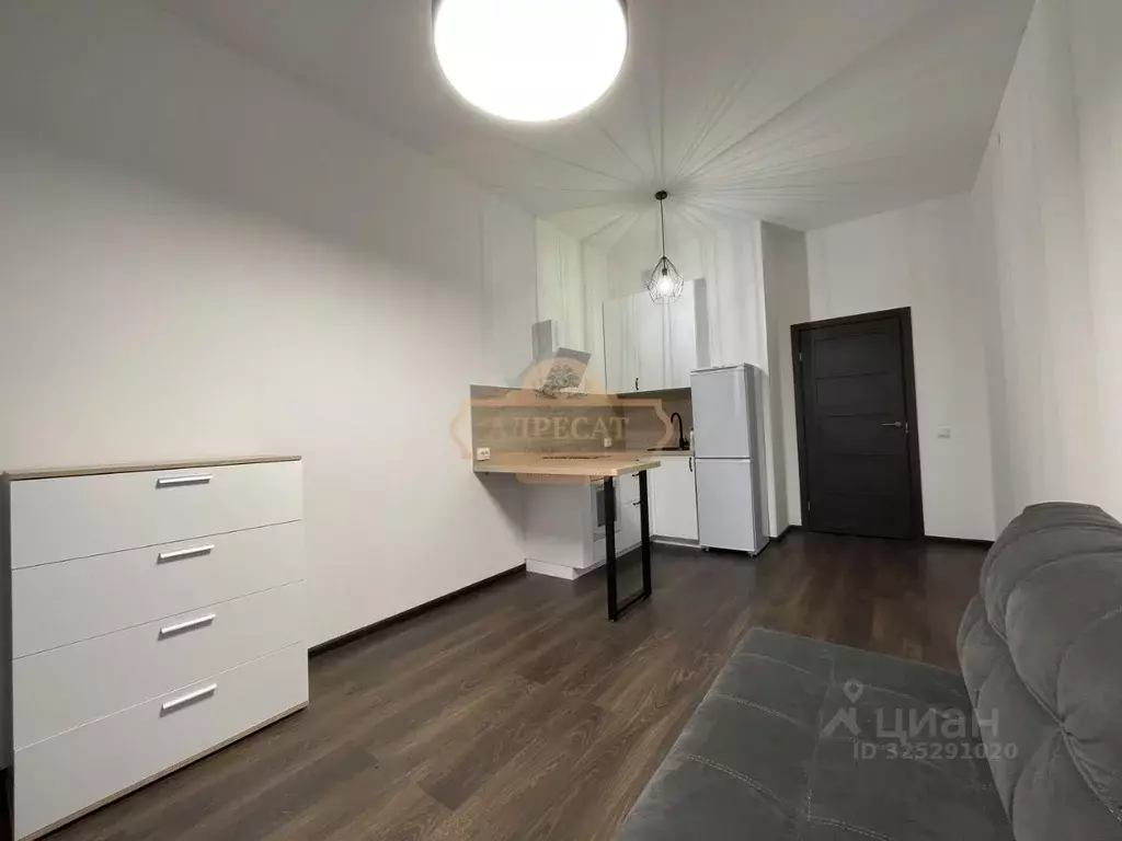 Студия Санкт-Петербург Светлановский просп., 8 (24.6 м) - Фото 2