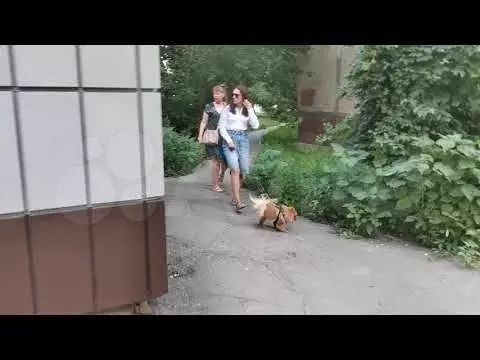 Торговая площадь - Фото 1