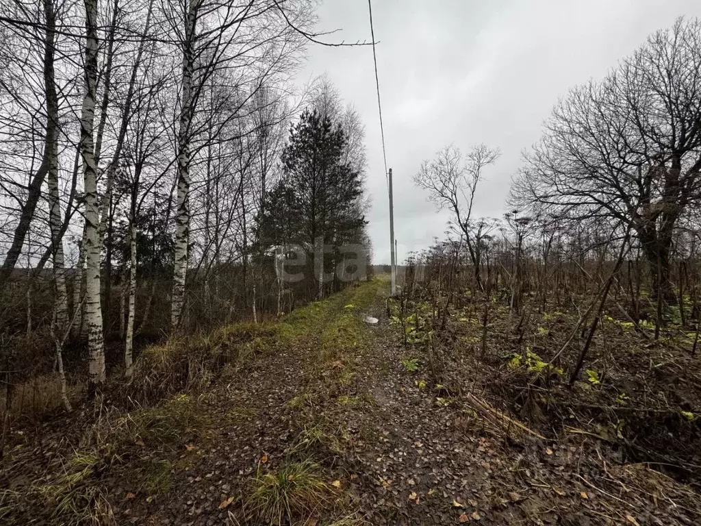 Участок в Тверская область, Калининский муниципальный округ, с. ... - Фото 2