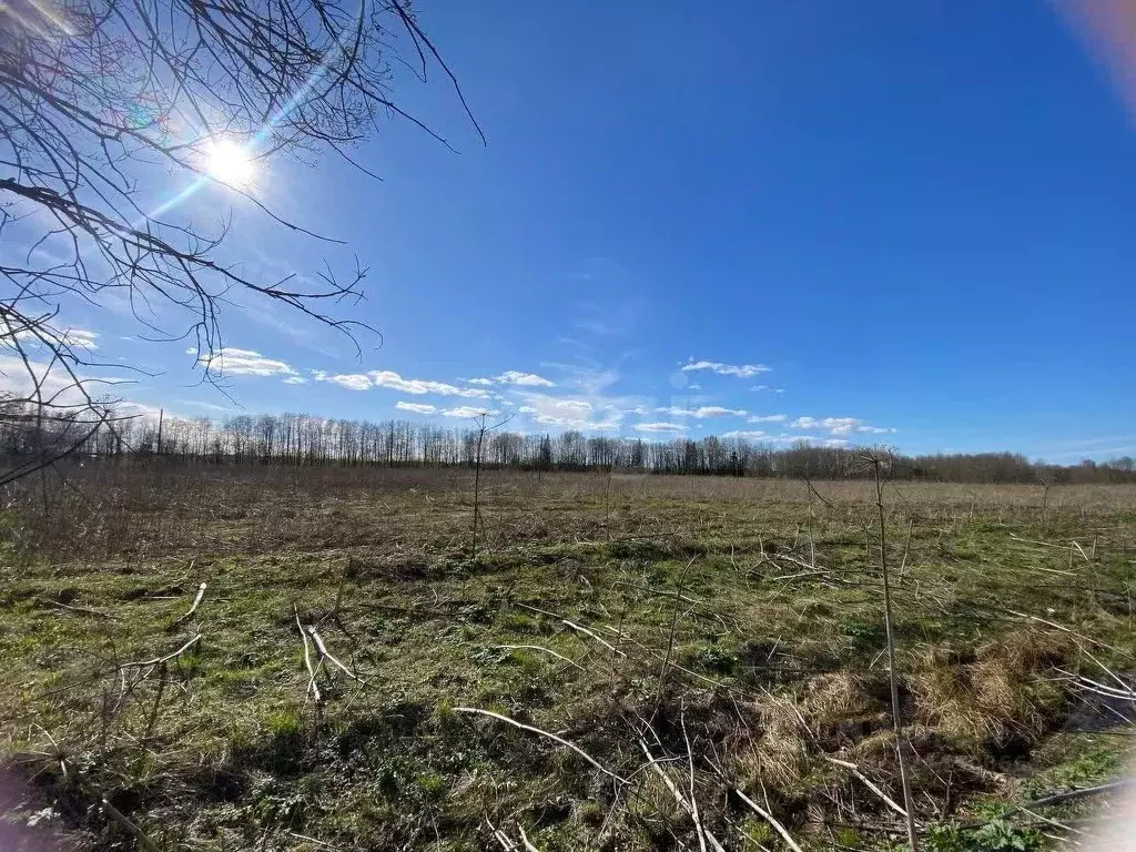 Участок в Ленинградская область, Волховский район, Бережковское с/пос, ... - Фото 1