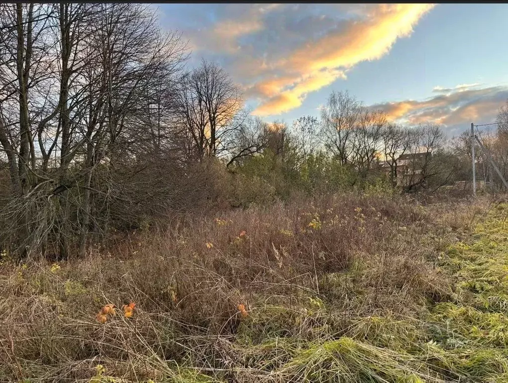 Участок в Московская область, Чехов муниципальный округ, д. ... - Фото 1
