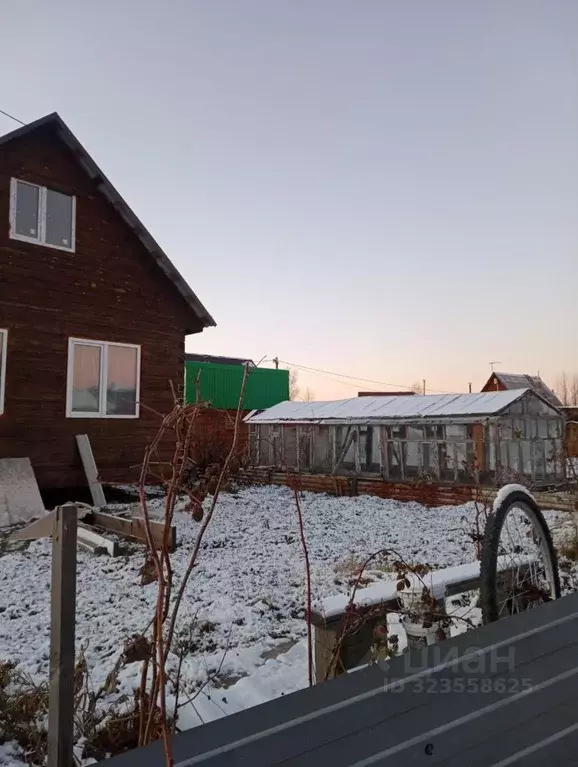 Дом в Тюменская область, Тюмень Зауралец СНТ, ул. Медиков, 41 (65 м) - Фото 1