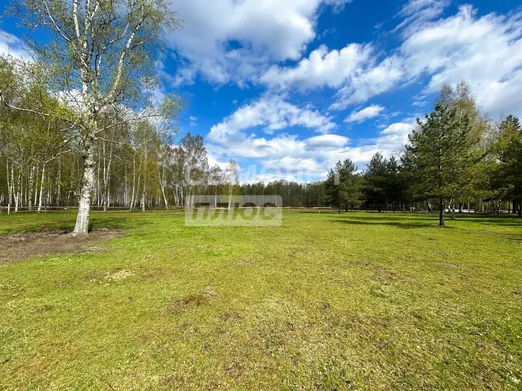 Участок в Владимирская область, Киржачский муниципальный округ, ... - Фото 1