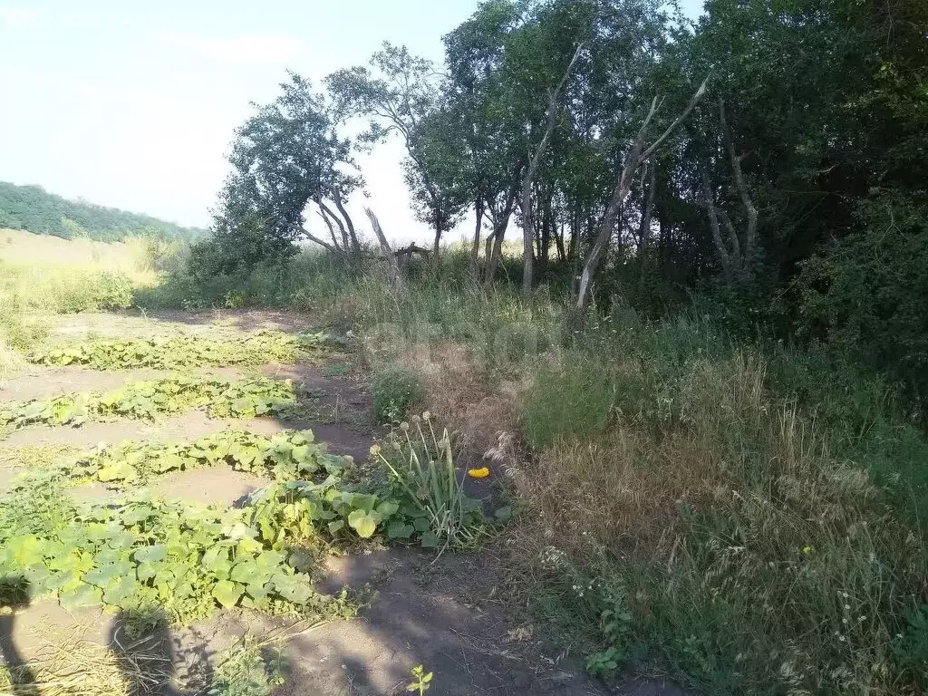 Участок в Драгунское, деревня Большие Кульбаки (30 м) - Фото 0