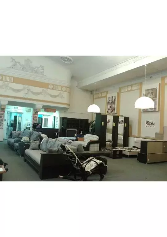 Помещение свободного назначения (283 м) - Фото 2