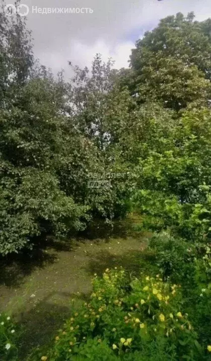 Дом в деревня Фёдоровка, улица Горького, 55 (61.2 м) - Фото 2