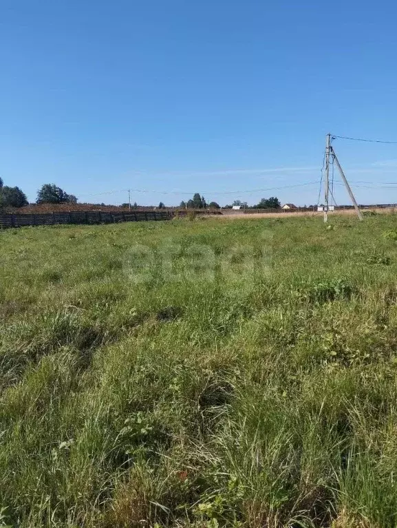 Участок в Ленинградская область, Тосненский район, Федоровское ... - Фото 2