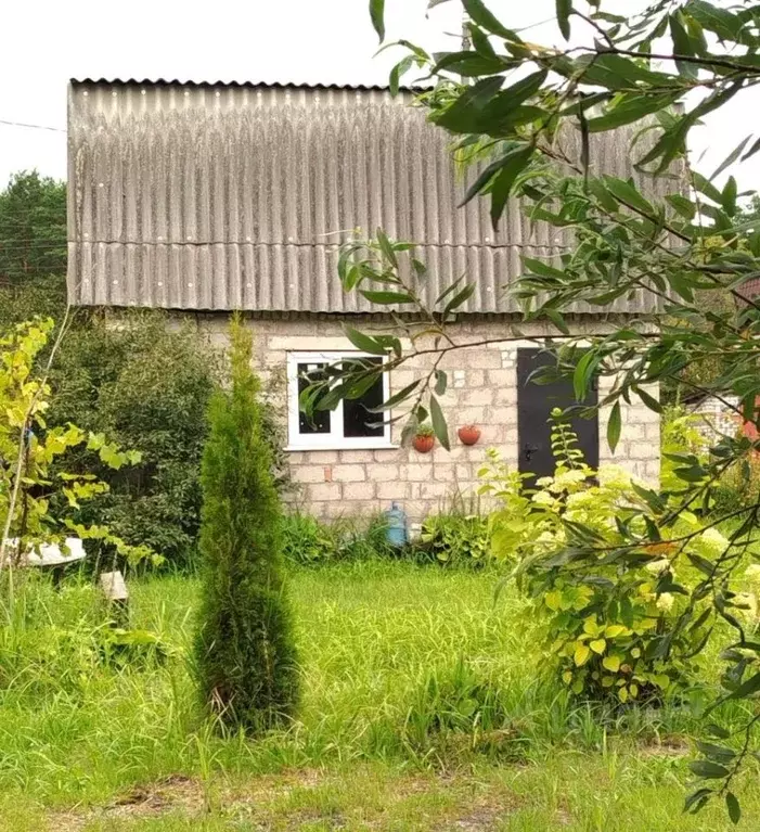 Дом в Брянская область, Фокино Юбилейный СНТ,  (36 м) - Фото 1