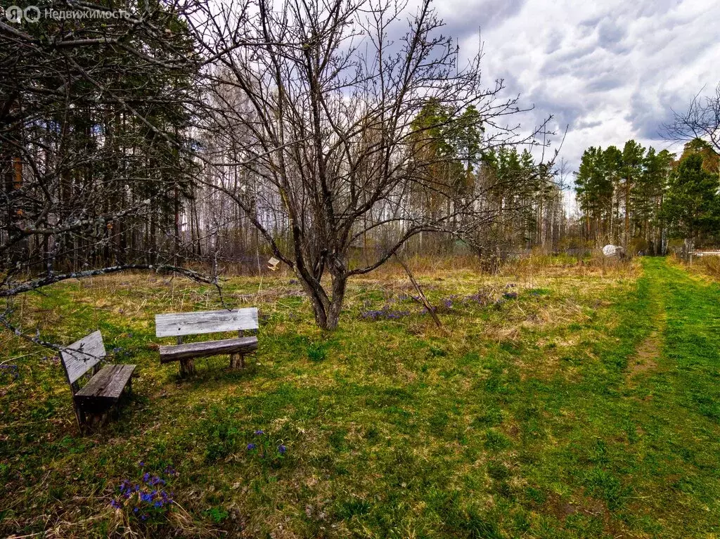 Участок в посёлок городского типа Рефтинский, коллективный сад ... - Фото 1