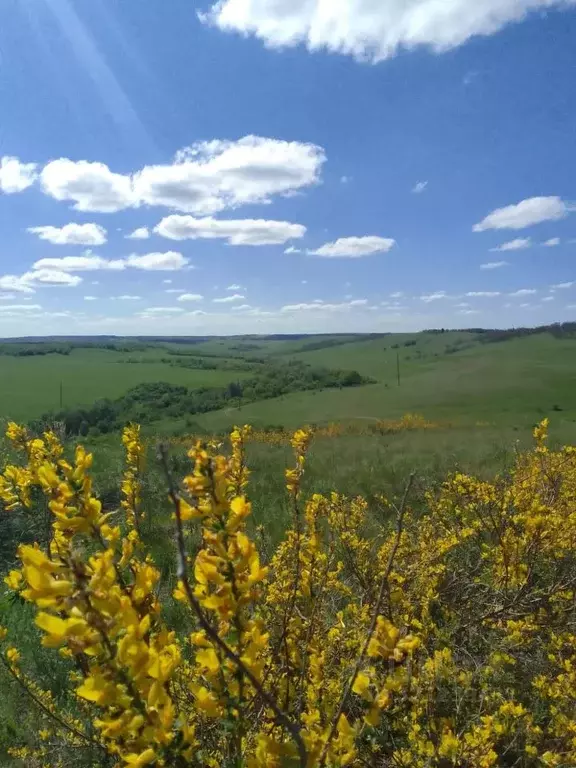 Участок в Саратовская область, с. Курдюм  (6.0 сот.) - Фото 1