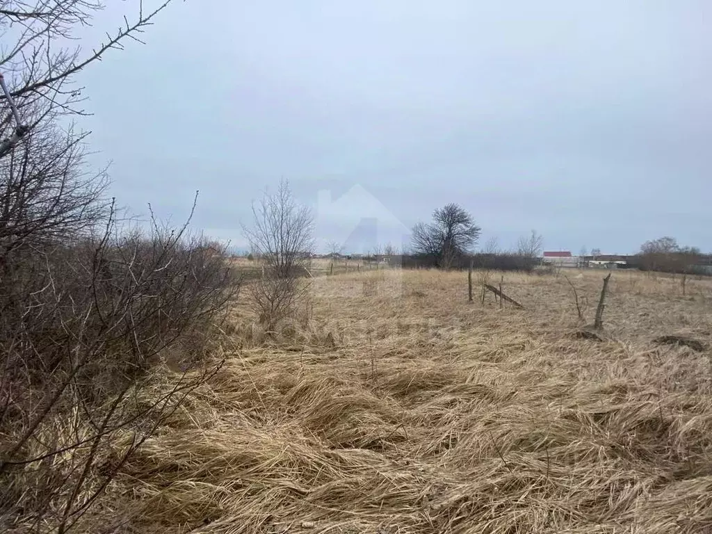 Участок в Воронежская область, Рамонский район, Комсомольское с/пос, ... - Фото 2