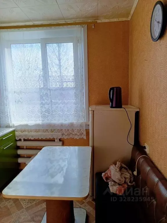 1-к кв. Новосибирская область, Искитимский район, Евсинский сельсовет, ... - Фото 2