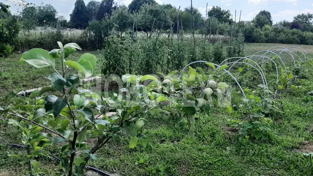 Дом в Краснодарский край, Курганинский район ул. Заречная, 35 (52 м) - Фото 1