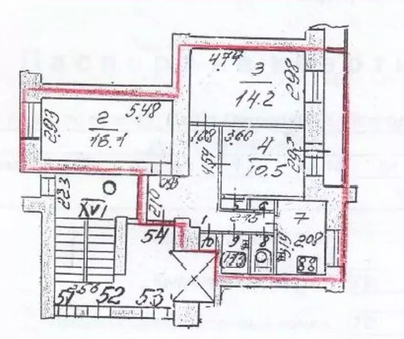 3-к кв. Санкт-Петербург, Санкт-Петербург, Петергоф Чичеринская ул., ... - Фото 1