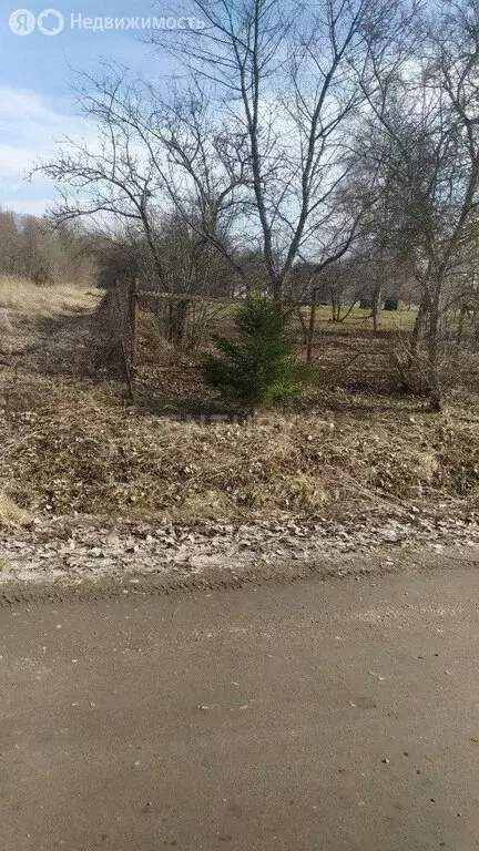 Участок в Котельское сельское поселение, деревня Удосолово (22 м) - Фото 2