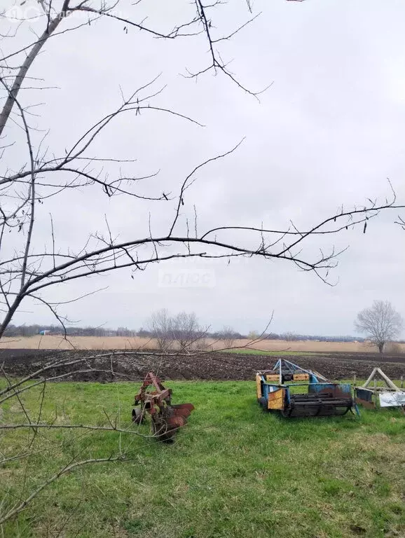 Участок в хутор Нижний, Красная улица (30 м) - Фото 1