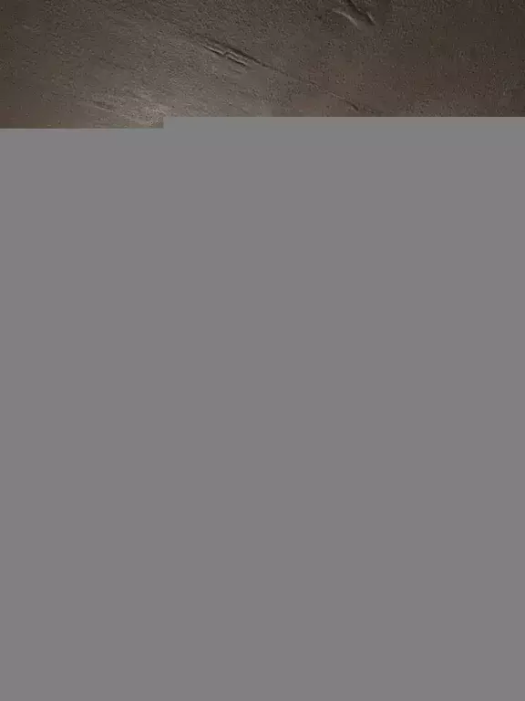 2-к кв. Белгородская область, Белгород Студенческая ул., 11 (44.8 м) - Фото 1