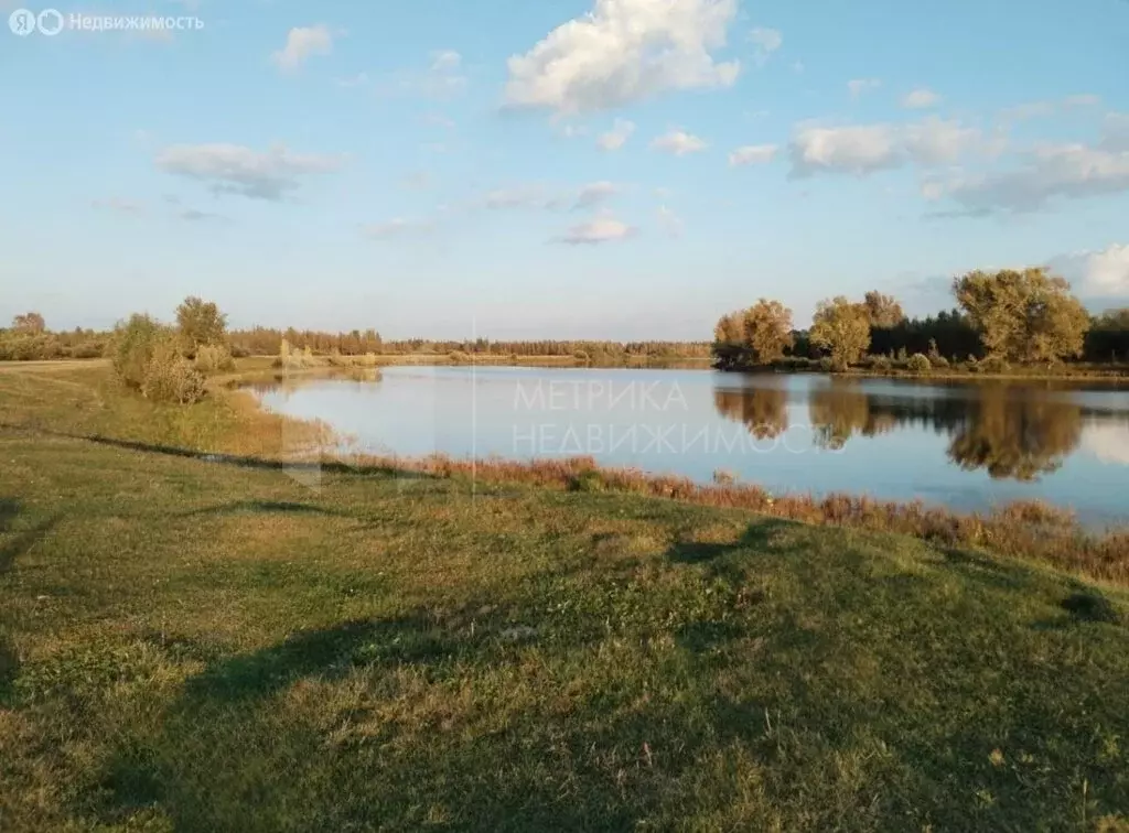 участок в ярковский район, деревня мотуши (15 м) - Фото 1