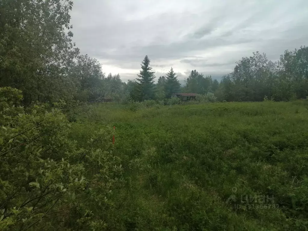 Участок в Мурманская область, Кольский муниципальный округ, Шонгуй ул. ... - Фото 2