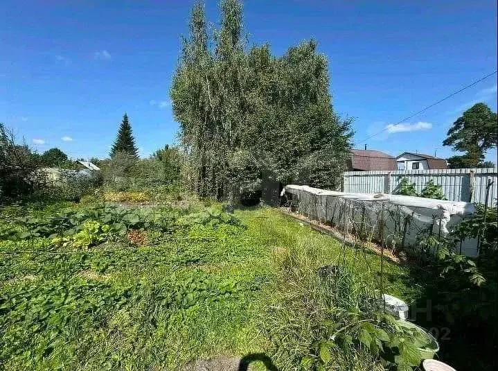 Дом в Тюменская область, Тюмень Топаз СНТ, ул. Жемчужная (65 м) - Фото 1