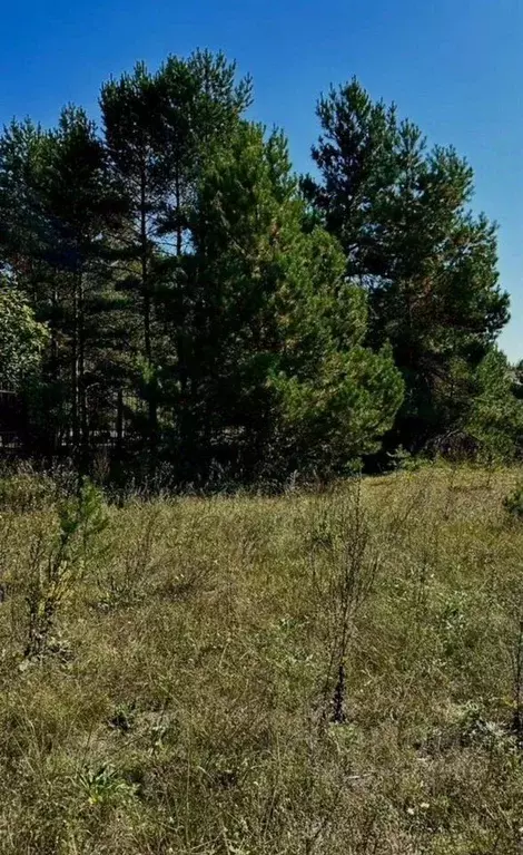 Участок в Московская область, Серпухов городской округ, д. Прилуки  ... - Фото 1