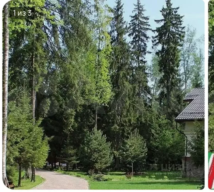 Участок в Башкортостан, Уфимский район, с. Чесноковка  (350.0 сот.) - Фото 1