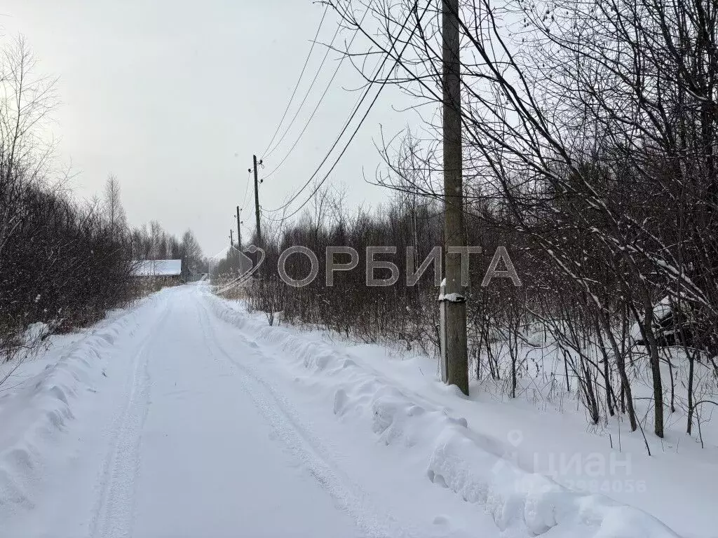 Участок в Тюменская область, Нижнетавдинский район, Лесная сказка СНТ ... - Фото 1