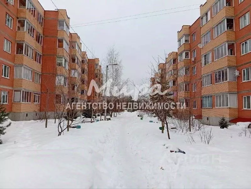 1-к кв. Московская область, Люберцы городской округ, Марусино пгт ул. ... - Фото 1