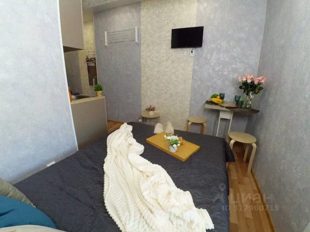 1-к кв. Татарстан, Казань ул. Нурсултана Назарбаева, 9/2 (15.0 м) - Фото 1