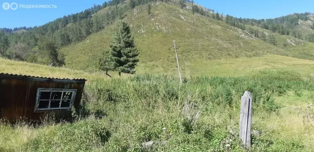 Участок в Шебалинский район, село Кукуя (25 м) - Фото 0
