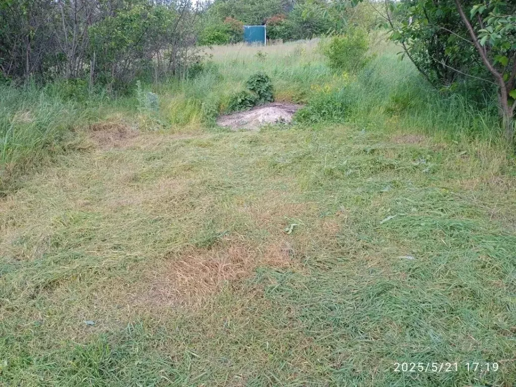 Участок в Ростовская область, Неклиновский район, Синявское с/пос, ... - Фото 1