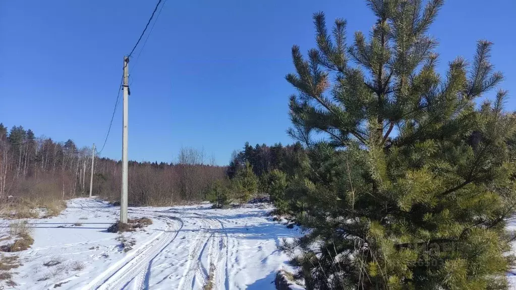 Участок в Владимирская область, Владимир д. Уварово, ул. Юринская, 11 ... - Фото 1