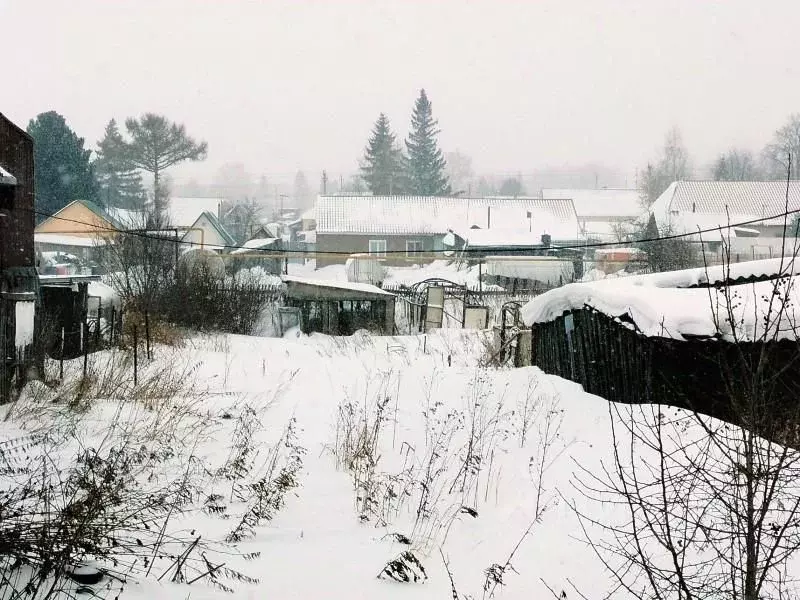 Участок в Новосибирская область, Новосибирский район, Станционный ... - Фото 1