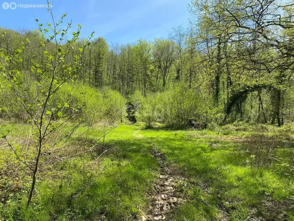 Участок в село Орёл-Изумруд, улица Лазурная Долина (36 м) - Фото 1