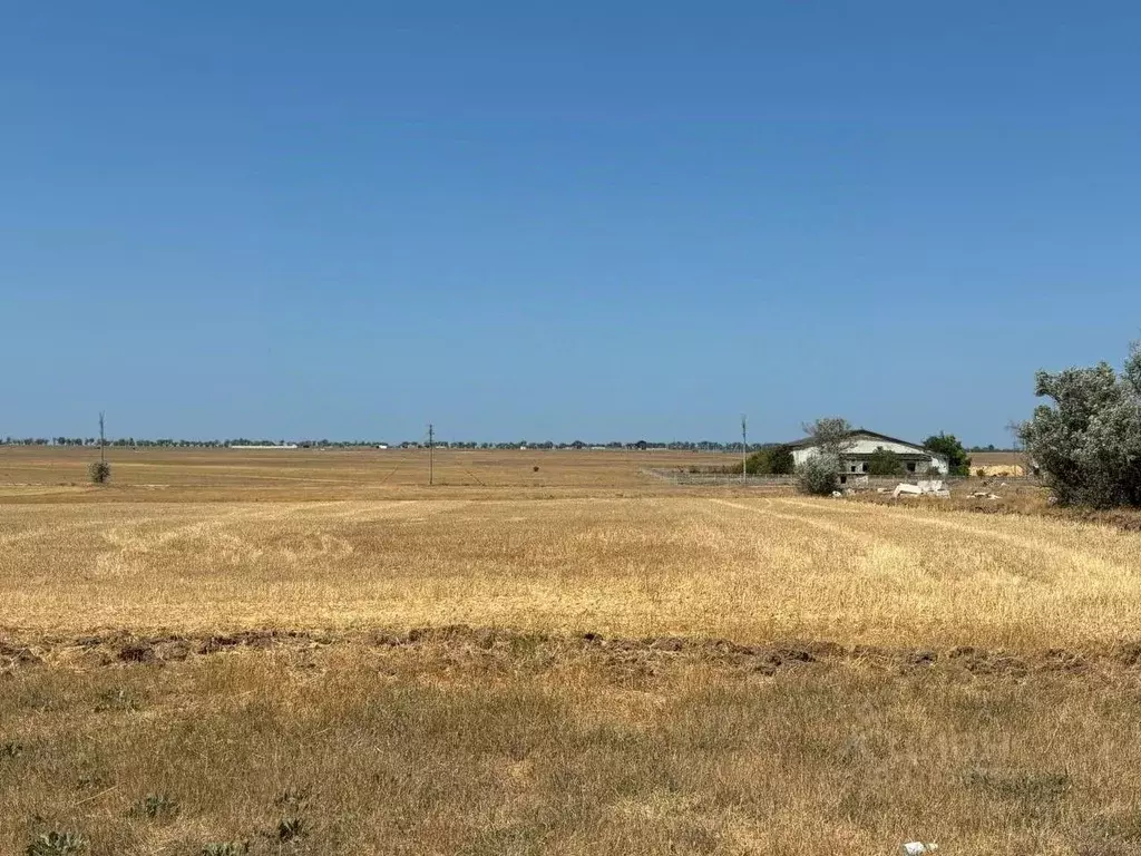 Участок в Крым, Черноморский район, Межводненское с/пос  (4.0 сот.) - Фото 2