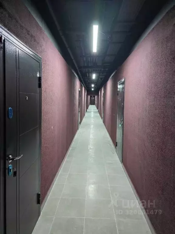 Помещение свободного назначения в Краснодарский край, Анапа ул. ... - Фото 2