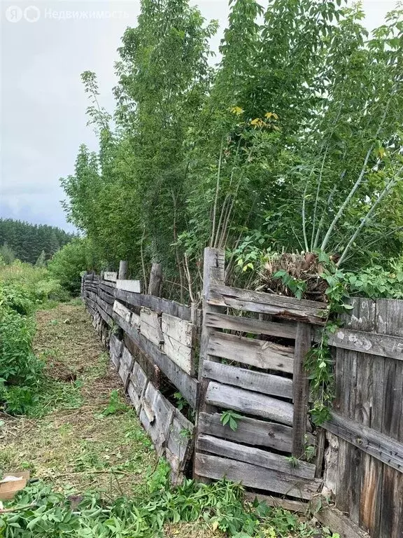 Дом в Петрово, Советская улица, 24 (54.9 м) - Фото 1