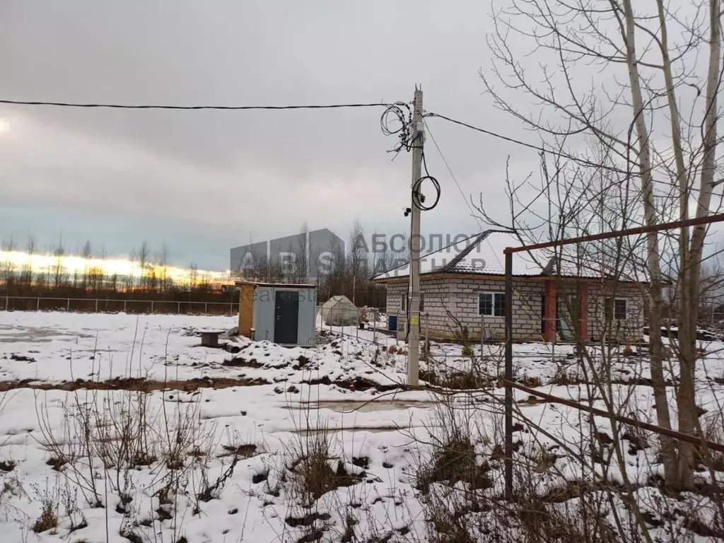 Участок в Новгородская область, Новгородский район, Савинское с/пос, ... - Фото 1