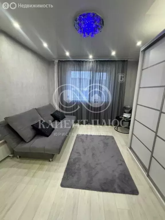 1-комнатная квартира: село Соловьёвка, Центральная улица, 3 (28.9 м) - Фото 1