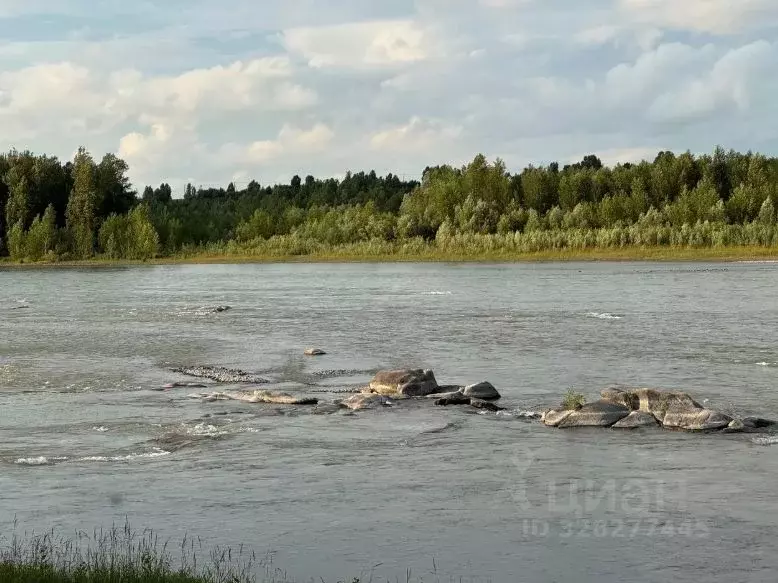 Дом в Алтайский край, Алтайский район, Айский сельсовет, с. Ая ул. ... - Фото 2