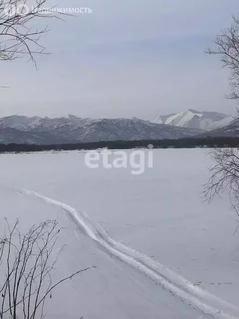 Участок в Елизовский район, село Сосновка (15 м) - Фото 1