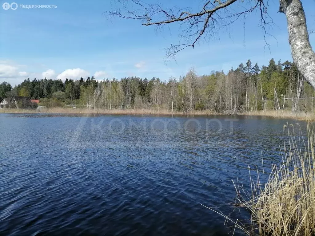 Участок в Ленинградская область, Приозерское городское поселение, ... - Фото 2