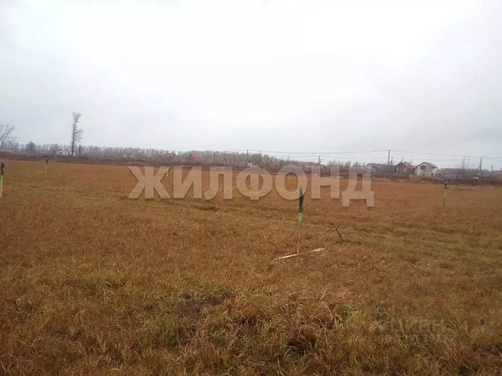 Участок в Новосибирская область, Новосибирский район, Кубовинский ... - Фото 2