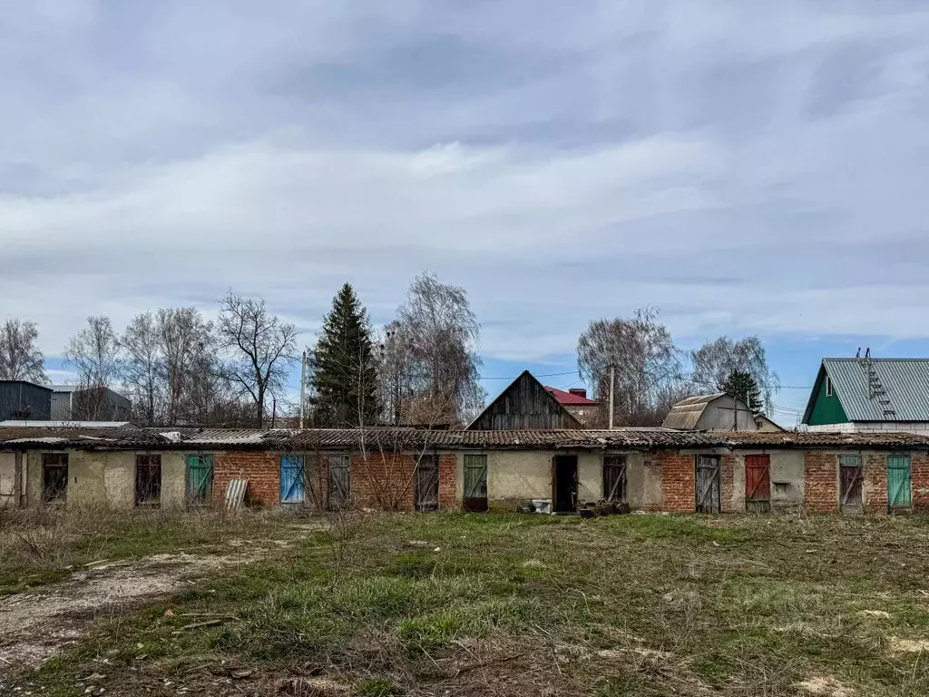 Помещение свободного назначения в Орловская область, Кромы пгт ул. К. ... - Фото 0