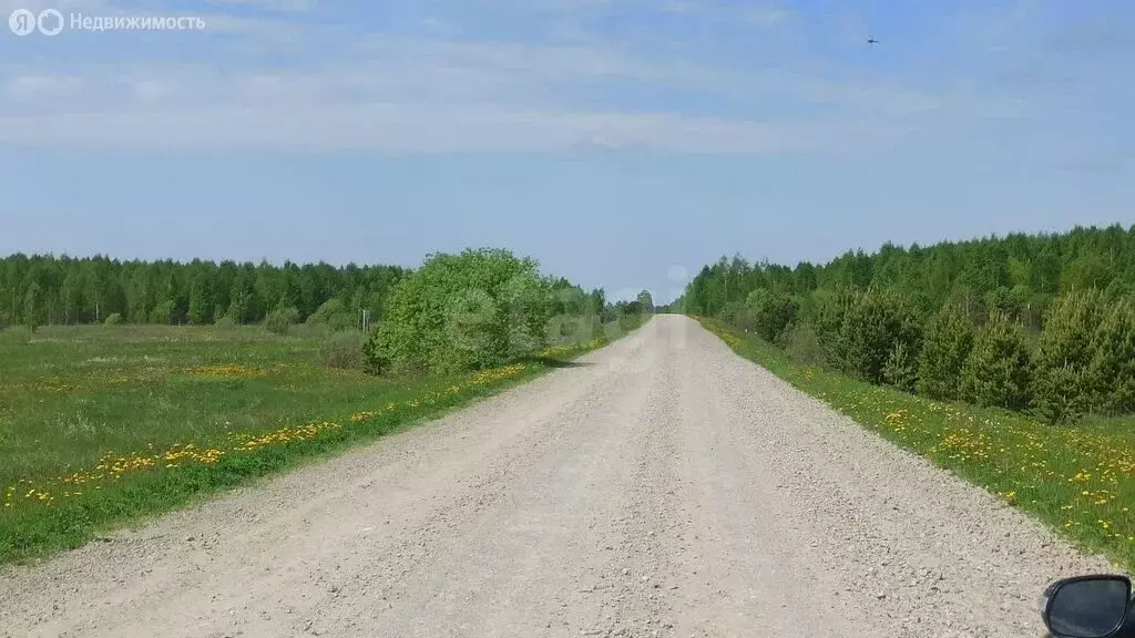 Участок в Тюменская область, Нижнетавдинский муниципальный округ, село ... - Фото 1