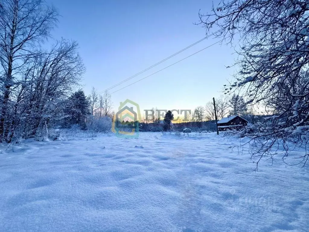 Участок в Ленинградская область, Приозерский район, Громовское с/пос, ... - Фото 1