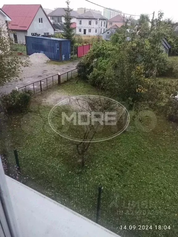 Участок в Калининградская область, Калининград Заря СНТ, ул. Лиловая, ... - Фото 1