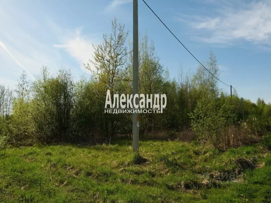 Участок в Санкт-Петербург пос. Понтонный, Колпинская ул., уч20 (12.0 ... - Фото 1