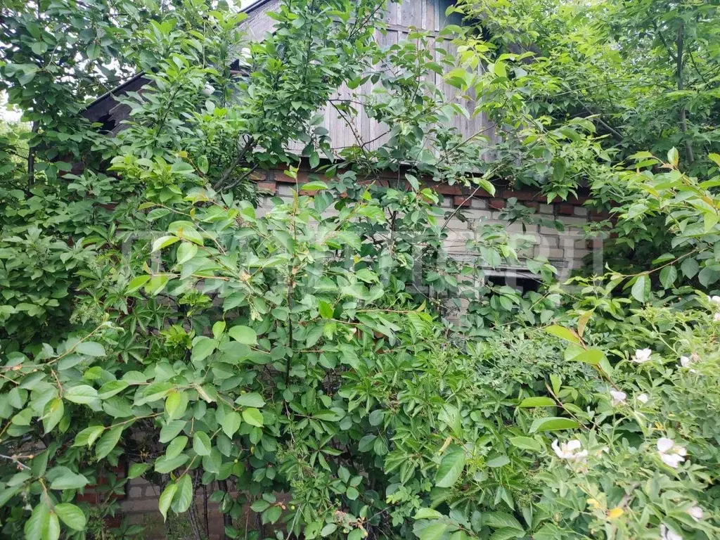 Участок в Ростовская область, Новочеркасск № 15 садовое товарищество, ... - Фото 2