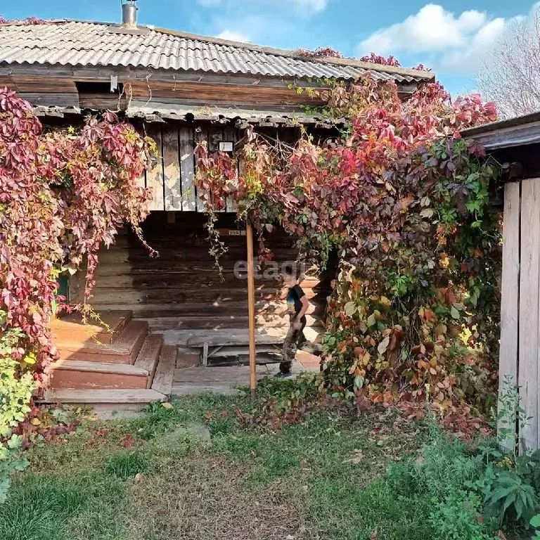 Дом в Тюменская область, Исетский район, с. Красново ул. Мира, 33 (44 ... - Фото 1